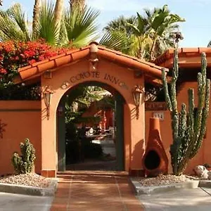 Coyote Palm Springs